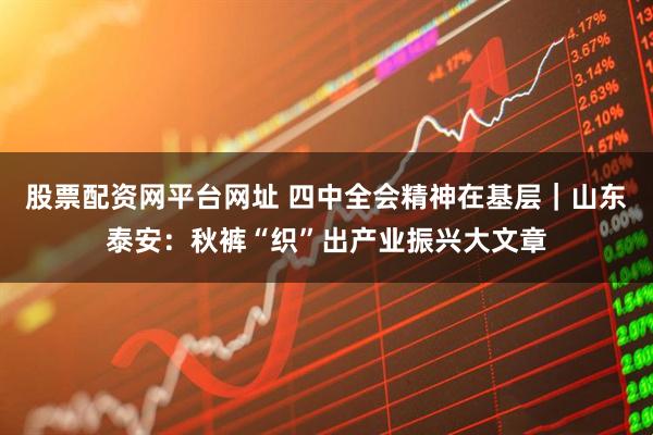 股票配资网平台网址 四中全会精神在基层|山东泰安:秋裤“织”出产业振兴大文章